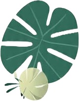 a green leaf with a white flower on it.jpg
